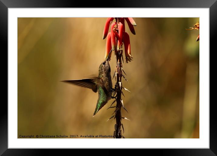 One Moment At Time Framed Mounted Print by Christiane Schulze