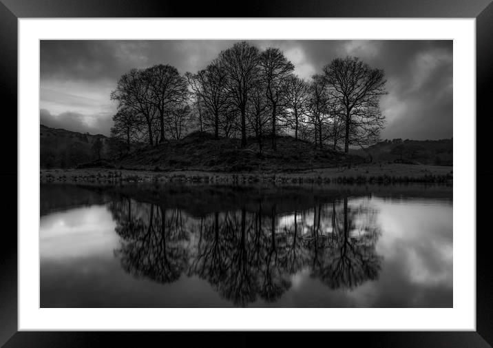 Elterwater Trees Framed Mounted Print by Paul Andrews