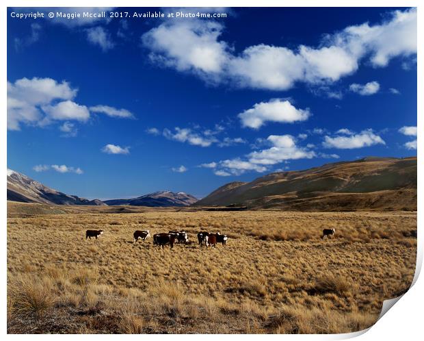 MOUNT NICHOLAS STATION, NEW ZEALAND Print by Maggie McCall