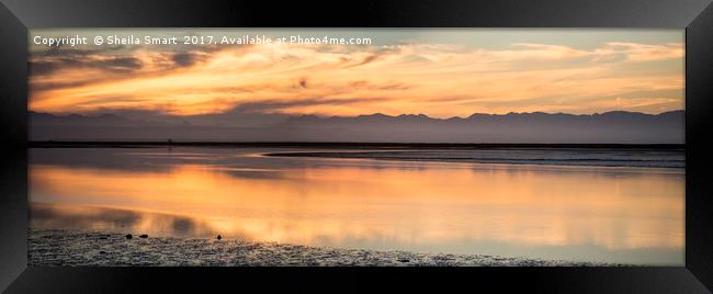 Panorama at Tasman bay, Nelson, New Zealand Framed Print by Sheila Smart