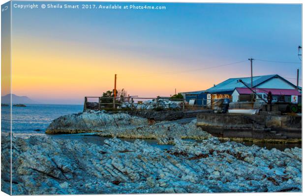 Old fishing shed, Kaikoura, New Zealand Canvas Print by Sheila Smart