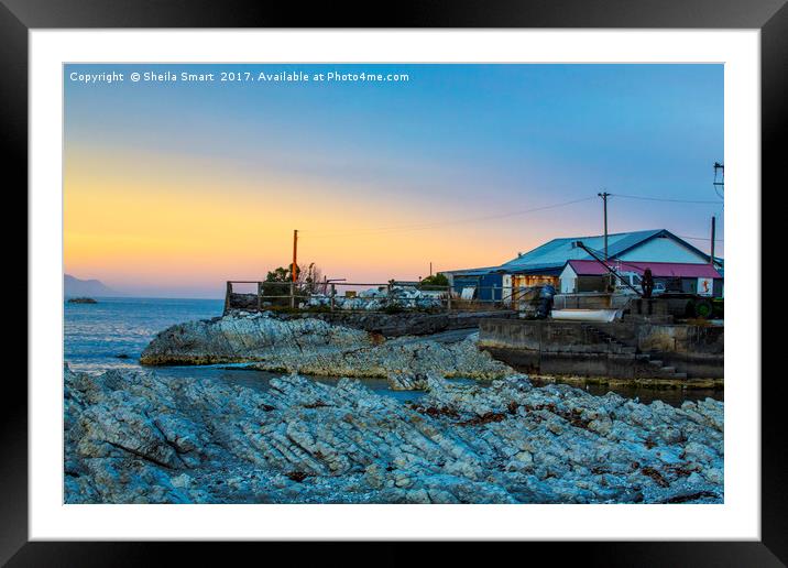 Old fishing shed, Kaikoura, New Zealand Framed Mounted Print by Sheila Smart