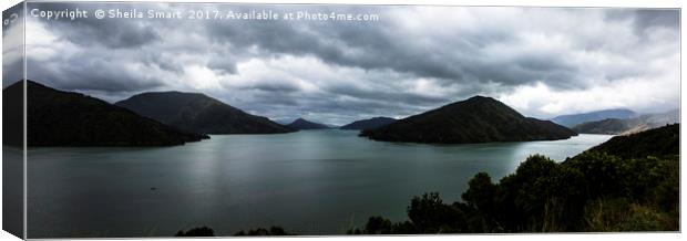 Queen Charlotte Sound, New Zealand Canvas Print by Sheila Smart