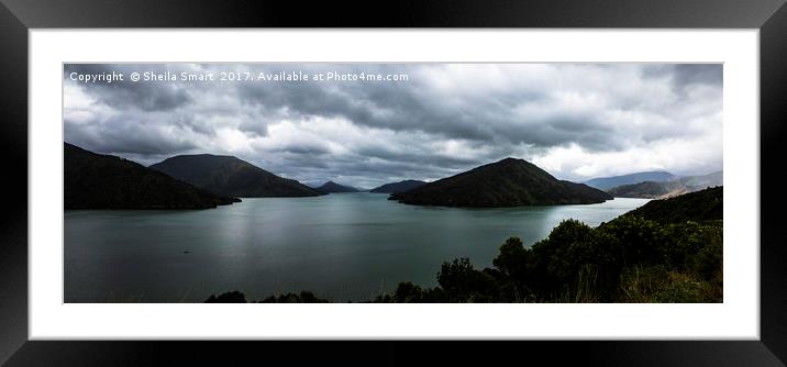Queen Charlotte Sound, New Zealand Framed Mounted Print by Sheila Smart