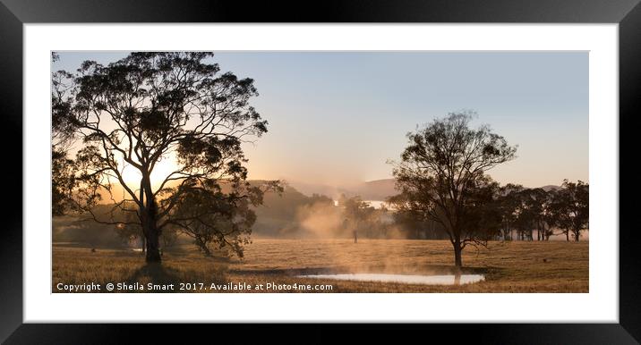 Sunrise over the paddock Framed Mounted Print by Sheila Smart