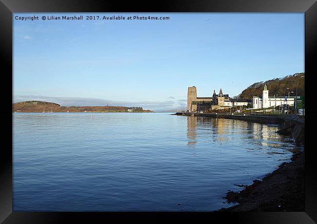 Oban Harbour, Scotland. Framed Print by Lilian Marshall
