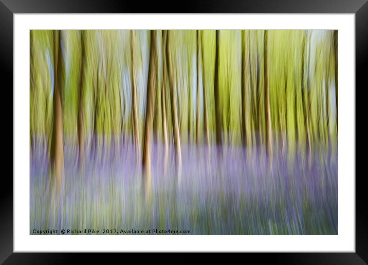 Dreamy Forest Framed Mounted Print by Richard Pike