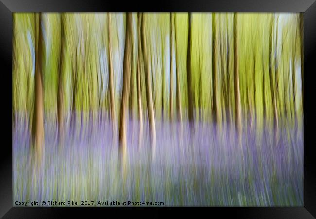 Dreamy Forest Framed Print by Richard Pike