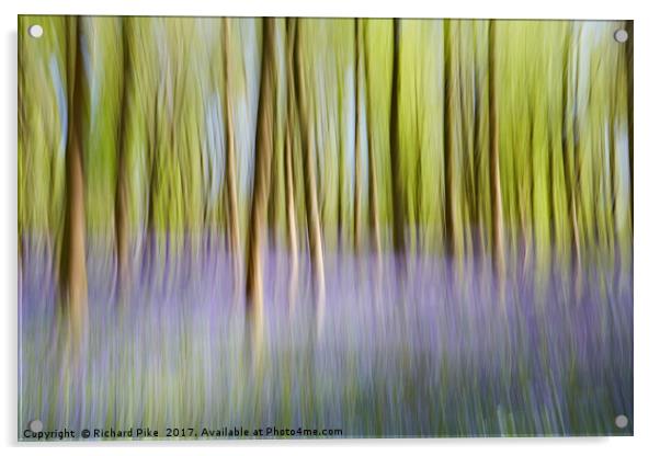 Dreamy Forest Acrylic by Richard Pike