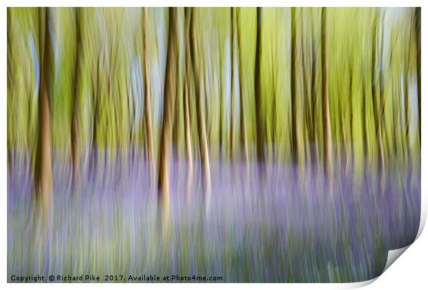 Dreamy Forest Print by Richard Pike