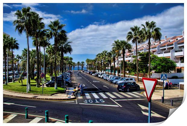 Palm Lined Street in Tenerife Print by Valerie Paterson