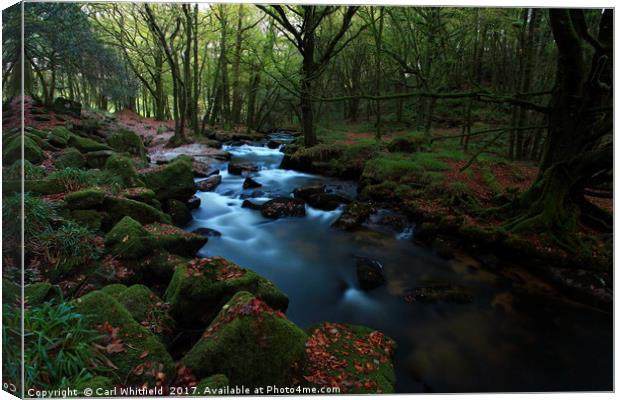 Golitha Falls in Cornwall, England. Canvas Print by Carl Whitfield