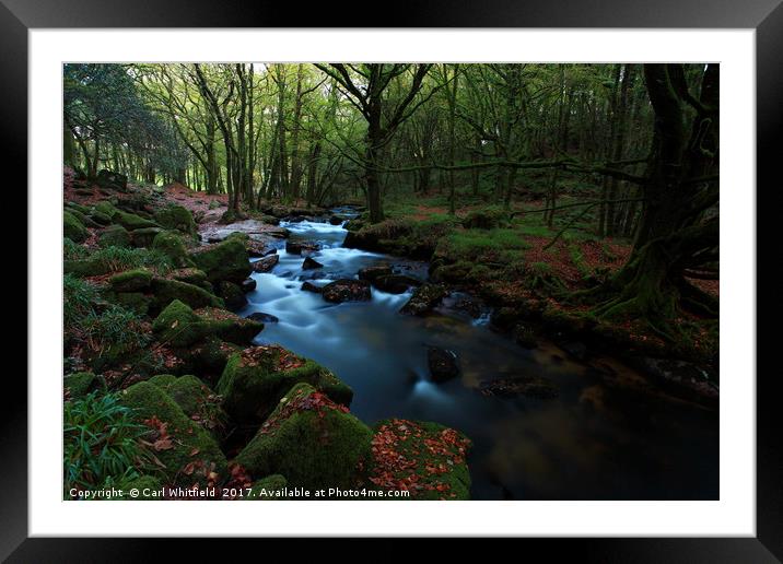 Golitha Falls in Cornwall, England. Framed Mounted Print by Carl Whitfield
