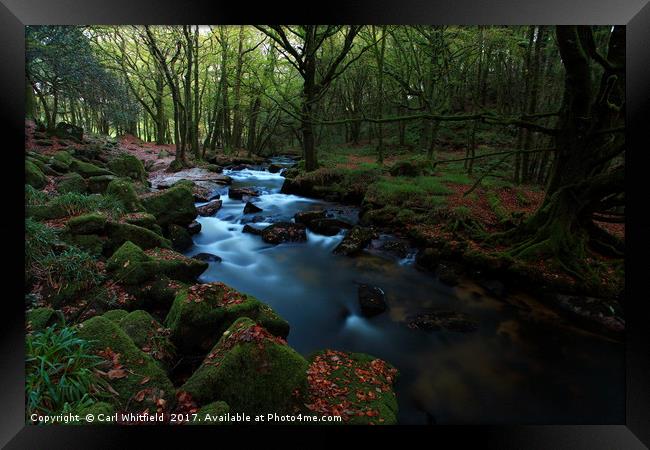 Golitha Falls in Cornwall, England. Framed Print by Carl Whitfield