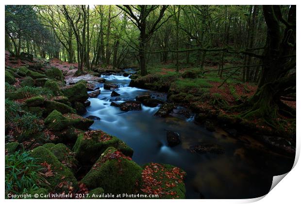 Golitha Falls in Cornwall, England. Print by Carl Whitfield