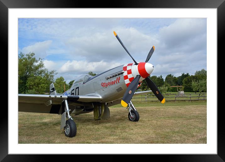 P51 Mustang Framed Mounted Print by Alan Barnes