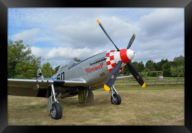 P51 Mustang Framed Print by Alan Barnes