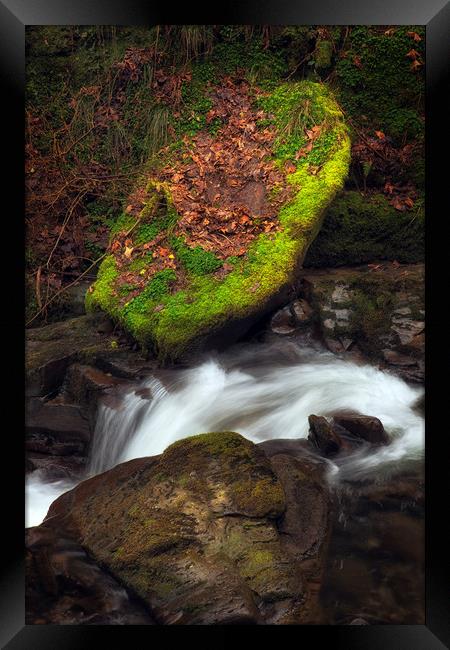 Moss covered stone Framed Print by Leighton Collins
