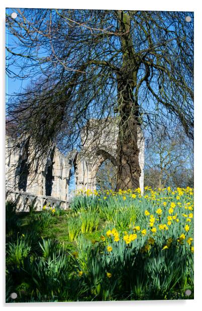 Spring in York Museum Gardens Acrylic by Robert Gipson
