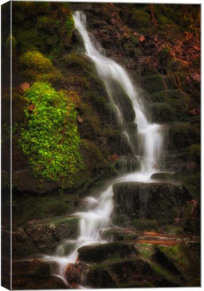 Small falls at Melincourt Brook Canvas Print by Leighton Collins