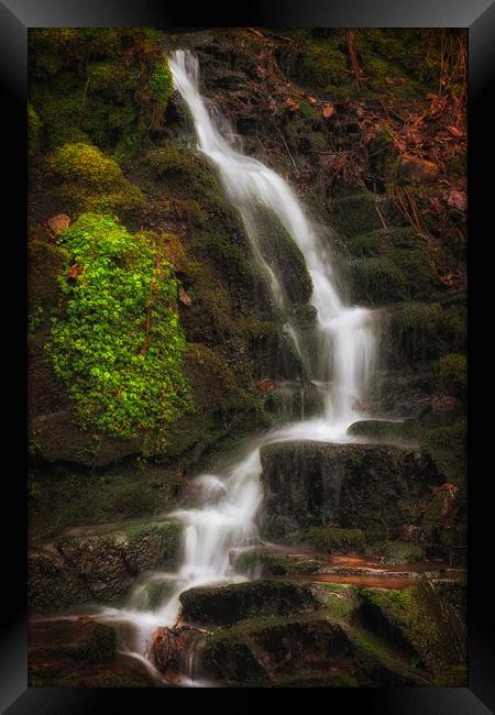 Small falls at Melincourt Brook Framed Print by Leighton Collins