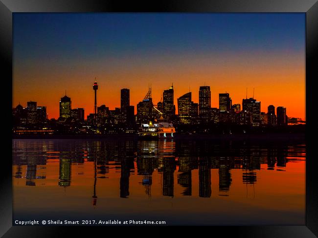 Sydney night skyline Framed Print by Sheila Smart