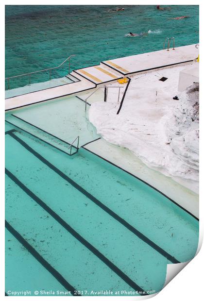 Bondi Icebergs pool Print by Sheila Smart