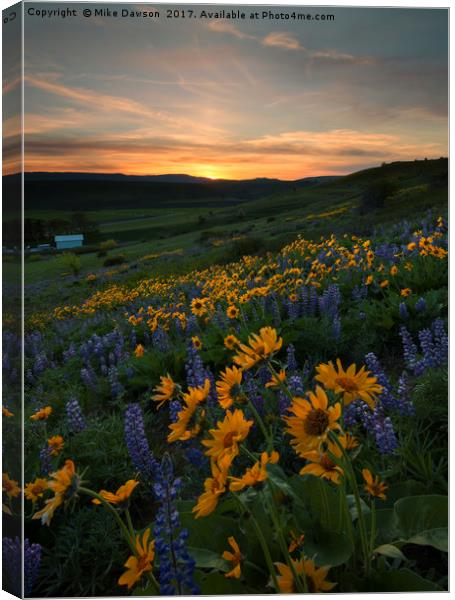 Blue and Gold Sunset Canvas Print by Mike Dawson