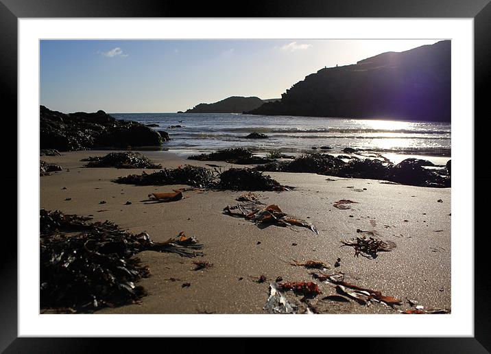 Sea weed Framed Mounted Print by lucy devereux