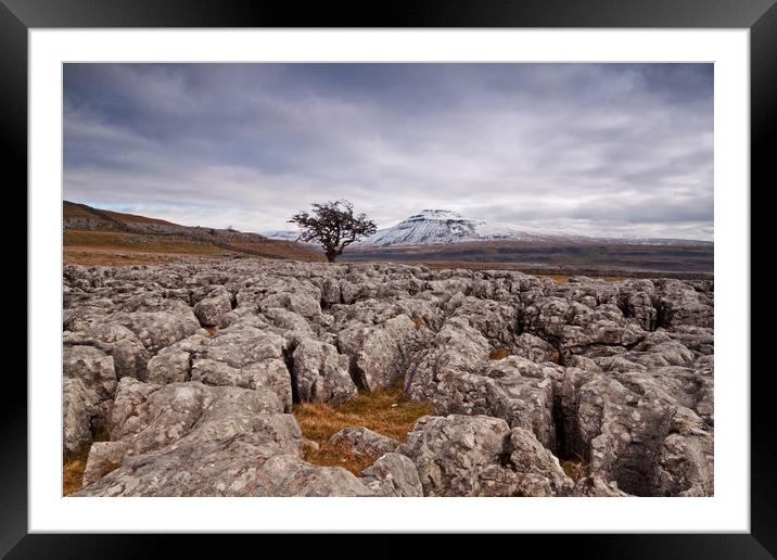 The distant lone tree Framed Mounted Print by David McCulloch