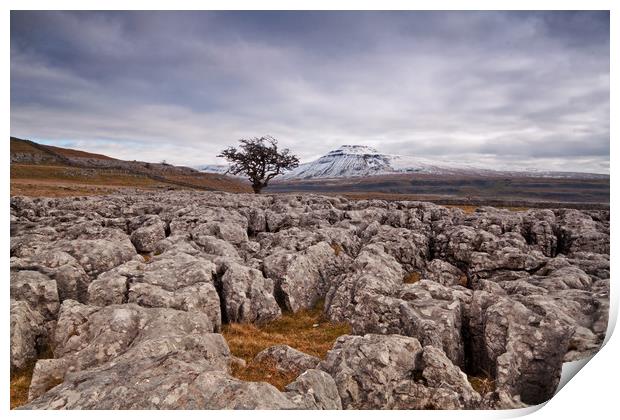 The distant lone tree Print by David McCulloch