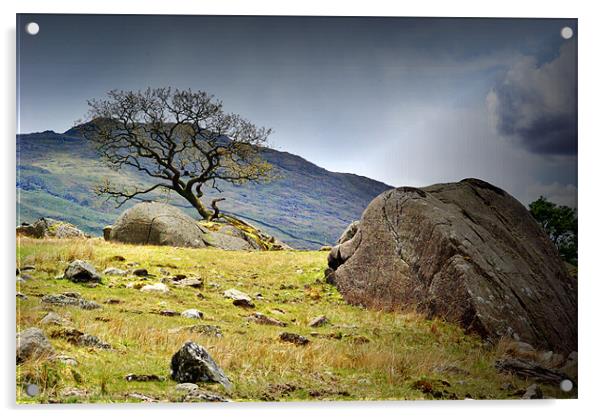 Rock and Tree,Seathwaite. Acrylic by Kleve 