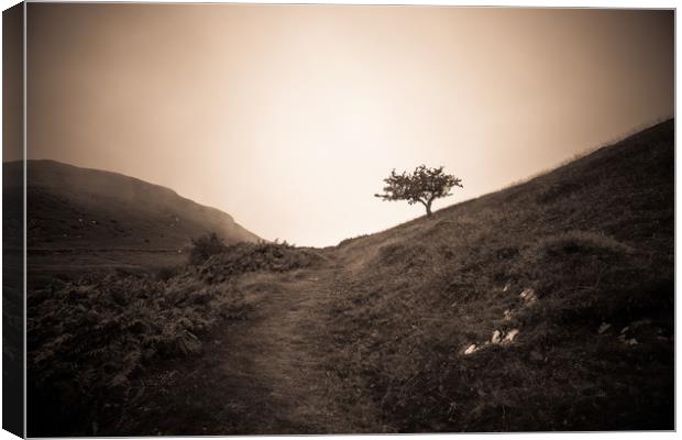 The lonely trail Canvas Print by Sean Wareing