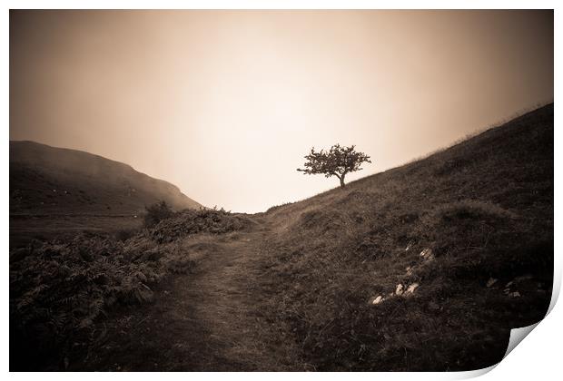The lonely trail Print by Sean Wareing
