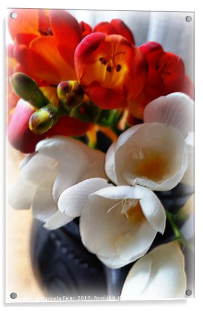 bouquet of freesias Acrylic by Marinela Feier