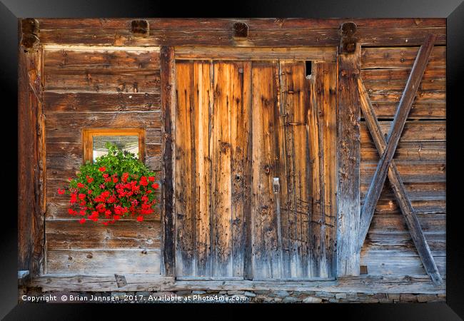 Rustic Barn Door Framed Print by Brian Jannsen