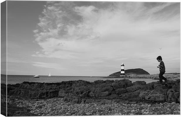 Lighthouse Canvas Print by lucy devereux