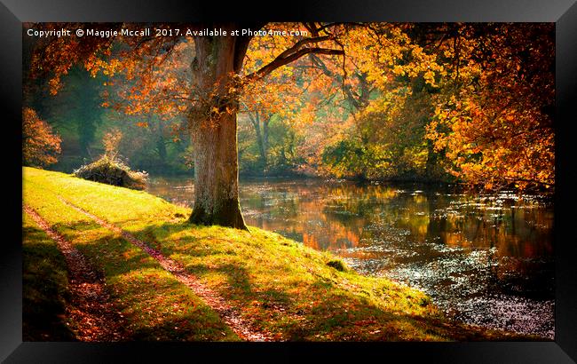 Autumnal Tamar River Walk Framed Print by Maggie McCall