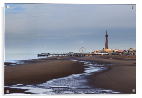 A view of Blackpool with the tower             Acrylic by chris smith