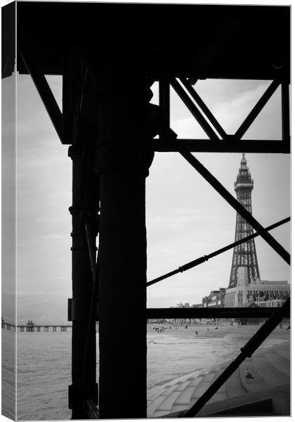 Blackpool Tower    Canvas Print by chris smith