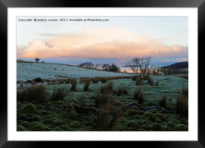 SUNSHINE FROST Framed Mounted Print by andrew saxton
