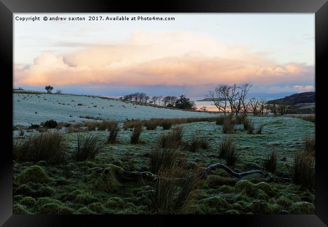 SUNSHINE FROST Framed Print by andrew saxton