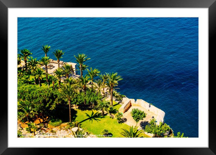 Aerial View Of Green Palm Trees And Blue Ocean Lan Framed Mounted Print by Radu Bercan