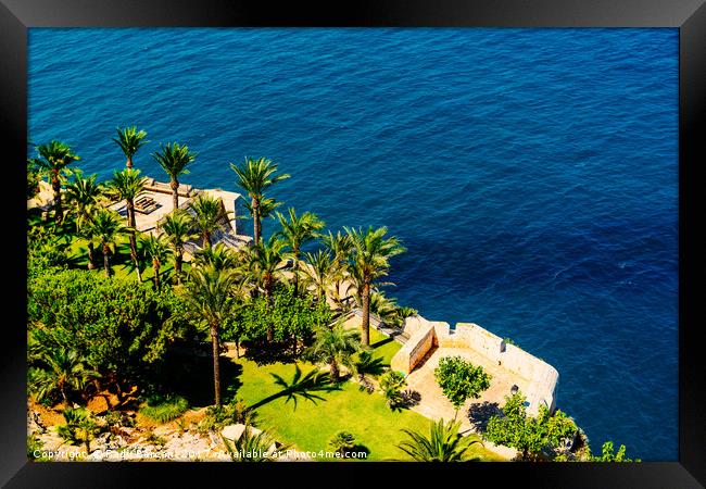 Aerial View Of Green Palm Trees And Blue Ocean Lan Framed Print by Radu Bercan