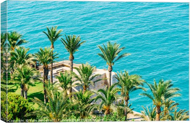 Aerial View Of Green Palm Trees And Blue Ocean Lan Canvas Print by Radu Bercan