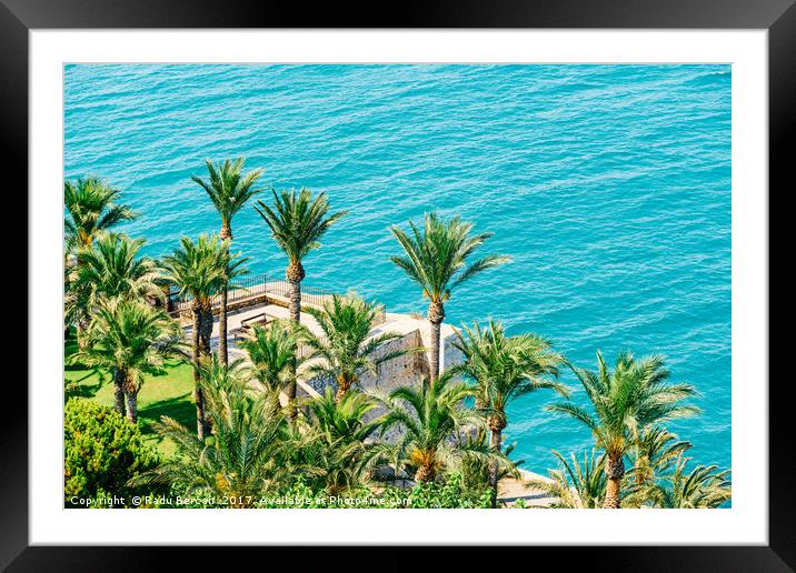Aerial View Of Green Palm Trees And Blue Ocean Lan Framed Mounted Print by Radu Bercan