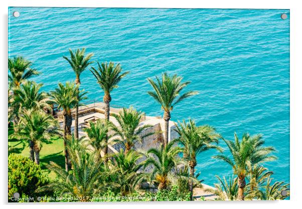 Aerial View Of Green Palm Trees And Blue Ocean Lan Acrylic by Radu Bercan