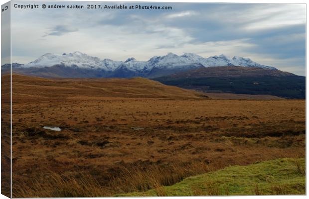 THREE COLOURS Canvas Print by andrew saxton