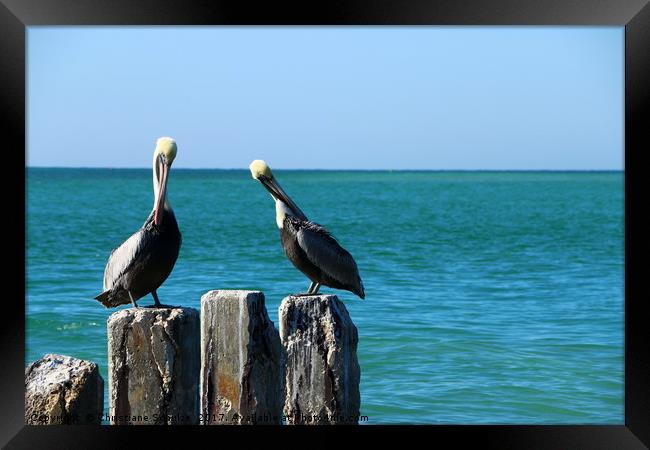 Two Old Guys On A Jetty Framed Print by Christiane Schulze
