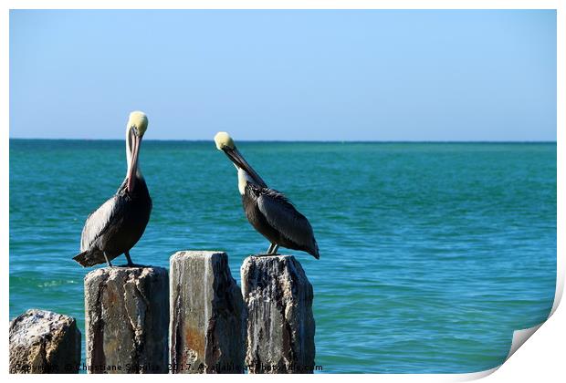 Two Old Guys On A Jetty Print by Christiane Schulze